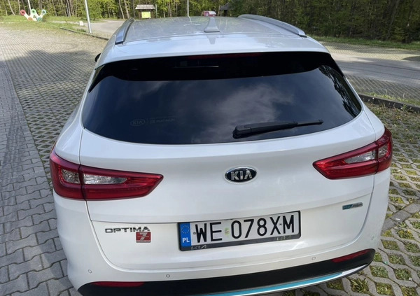 Kia Optima cena 84747 przebieg: 75980, rok produkcji 2019 z Kielce małe 497